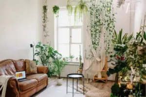 Renting a House? Here’s How to Apply Vastu